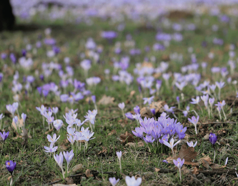 Spring 2026 Employment Law Newsletter