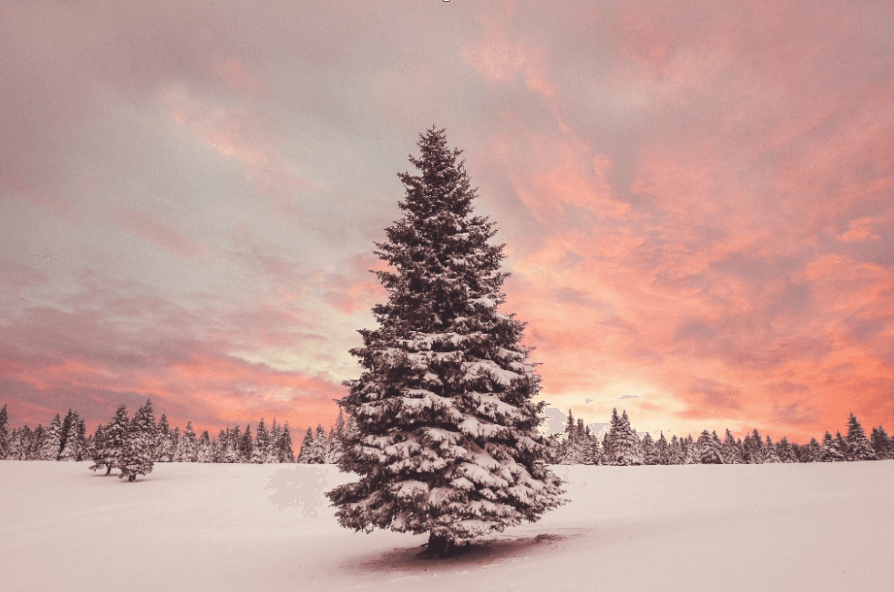 Navigating child arrangements this Christmas